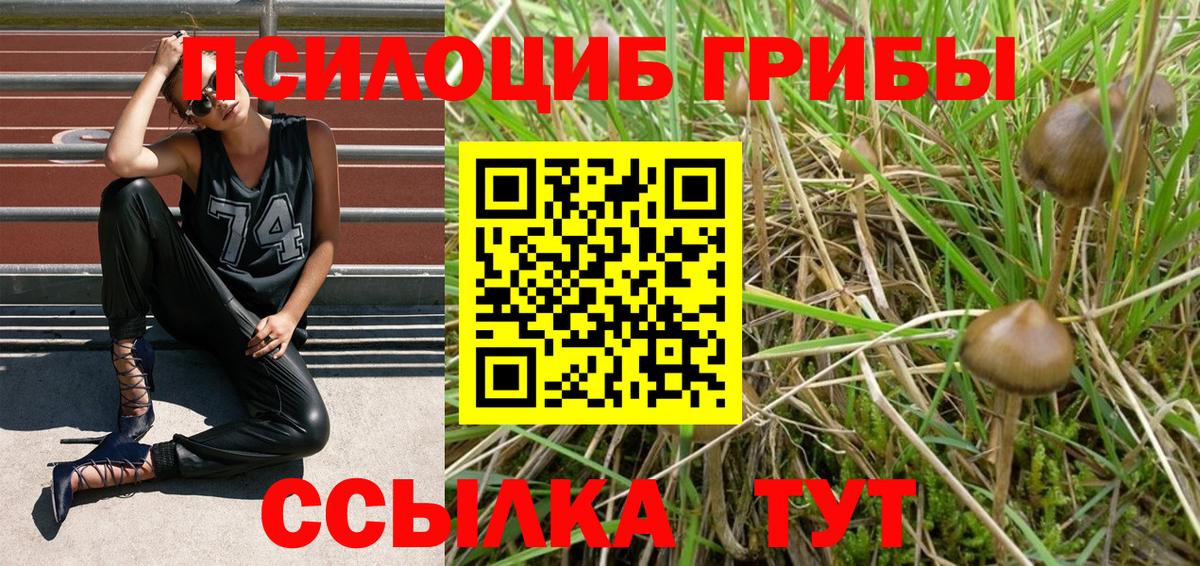 Галлюциногенные грибы GOLDEN TEACHER Тосно