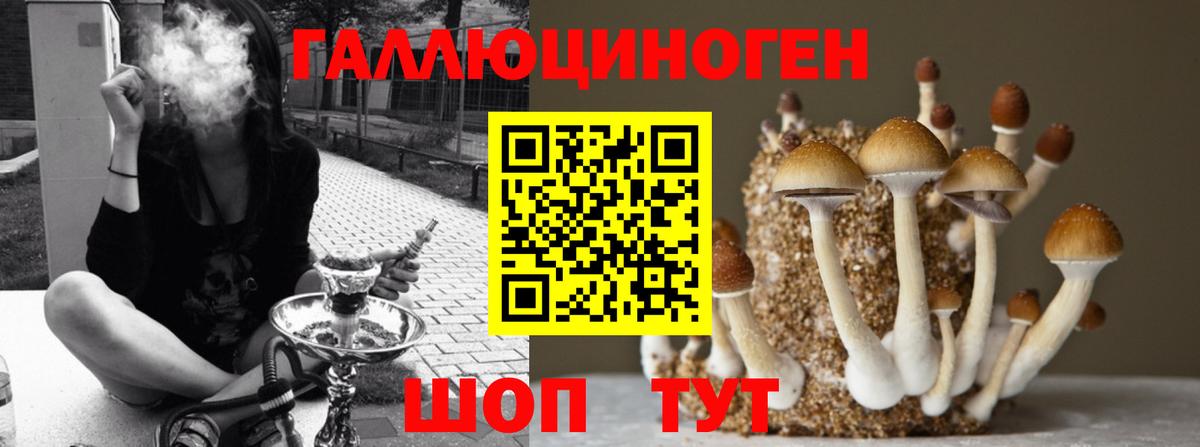 Тосно  где найти   Вход с VPN  Галлюциногенные грибы GOLDEN TEACHER 